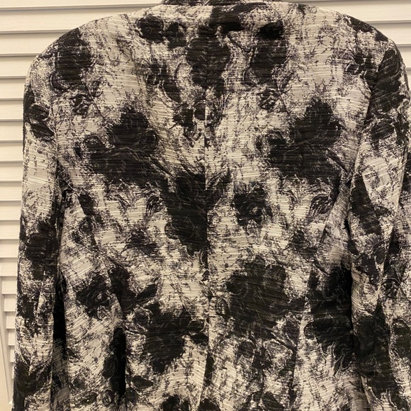 Zanella - Picture 4 of 7